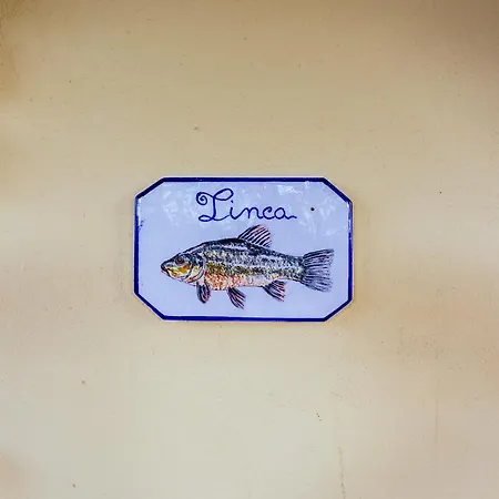 Principe Del Trasimeno Lantställe